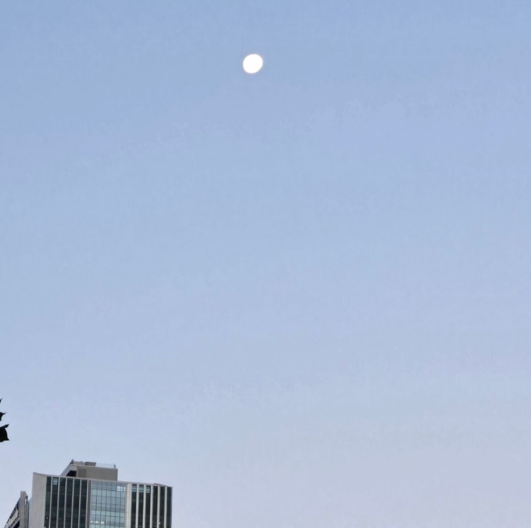 파덕 오리바베큐 이미지