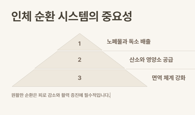 바른체형 작은얼굴 이미지