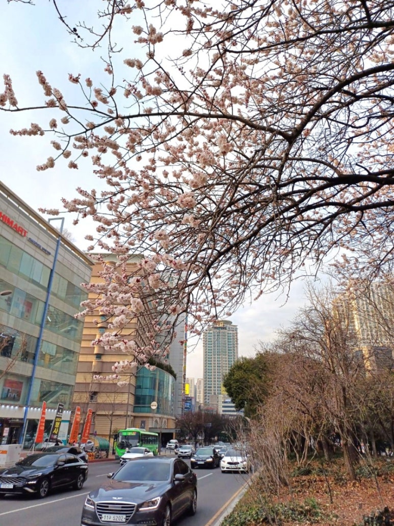 법무법인범어 이미지