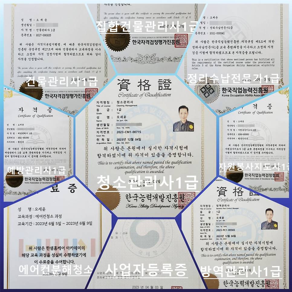다청소 이미지