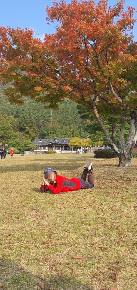 목포시종합사회복지관 이미지