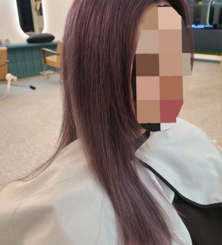 테드헤어 이미지