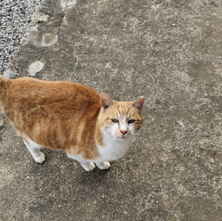 백미응서재 이미지