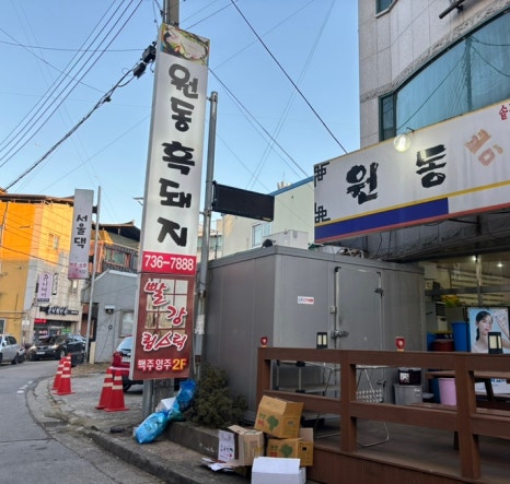 원동흑돼지 이미지