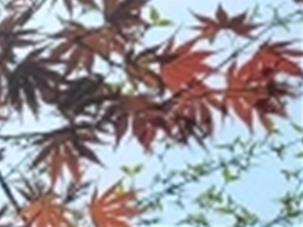 와인치과의원 이미지