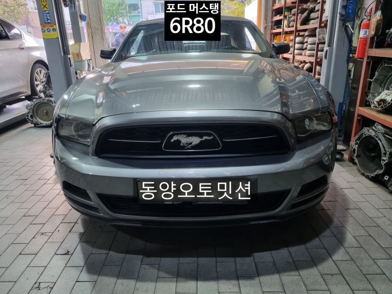 동양오토밋션 이미지