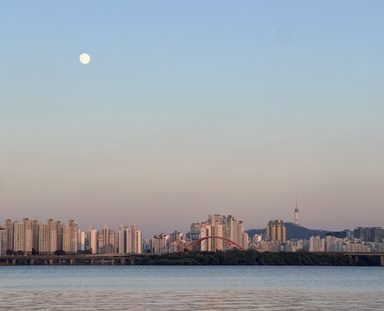 희망 이미지