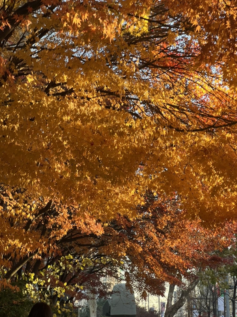 한우몽 이미지