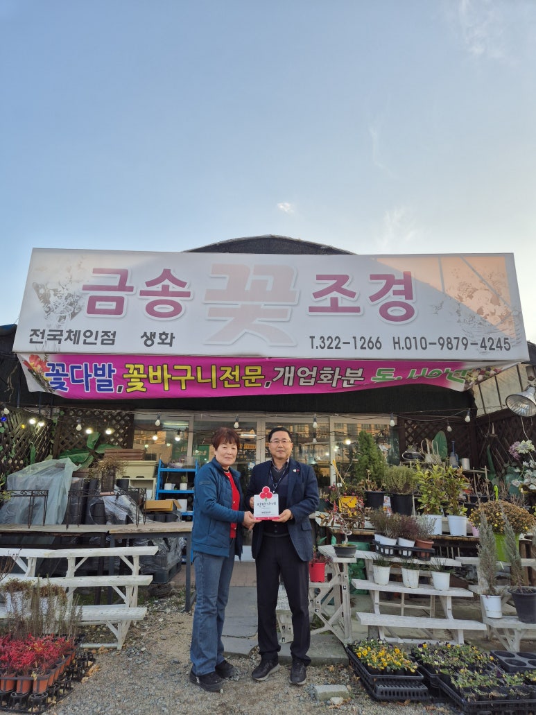 예쁜금송꽃 이미지