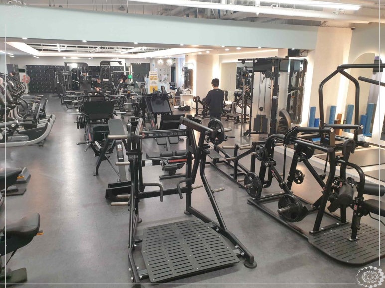 건강해GYM 이미지