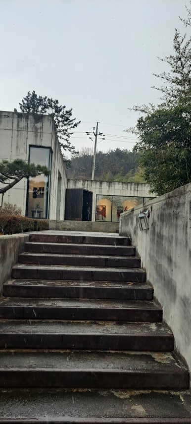 선우차유리 이미지