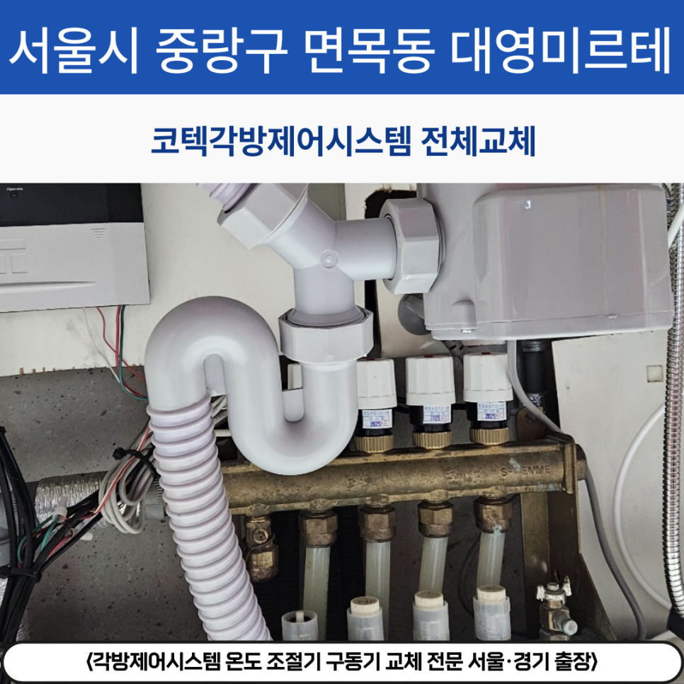 셈셈(sem sem) 이미지