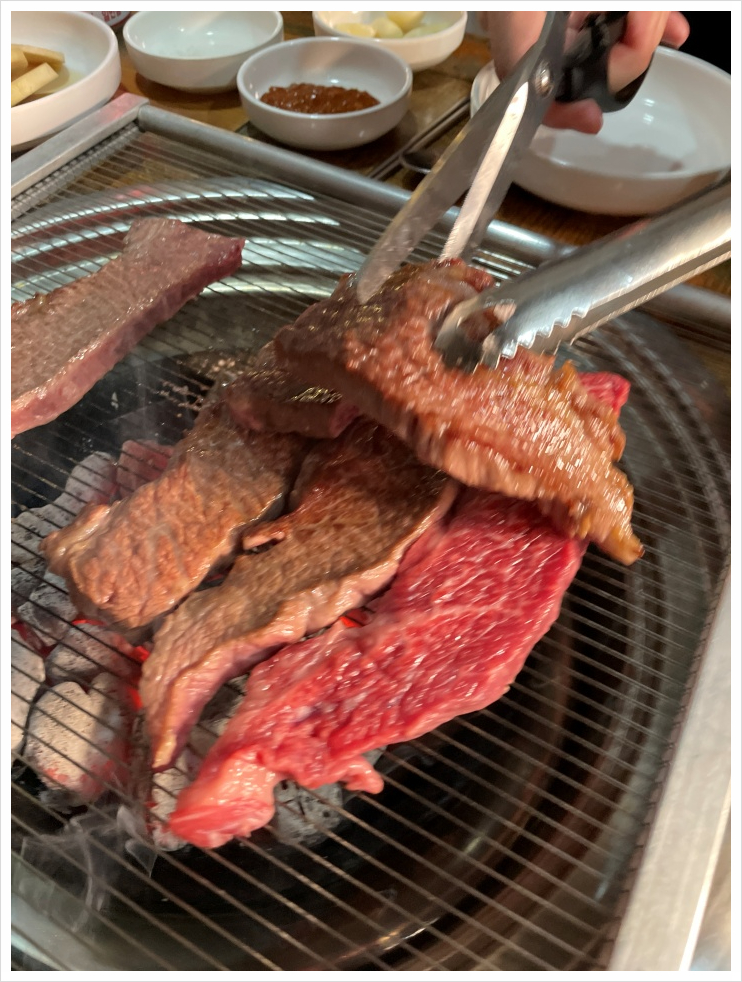 참토우 이미지