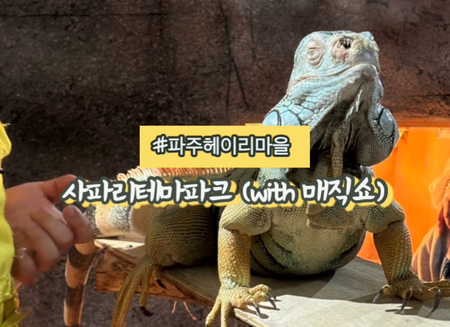 사파리체험테마파크 이미지
