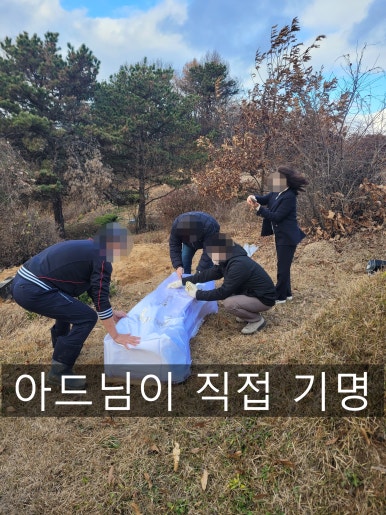 대성장묘 이미지