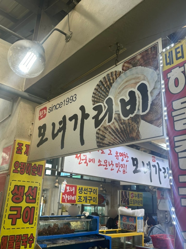 모자가리비 이미지