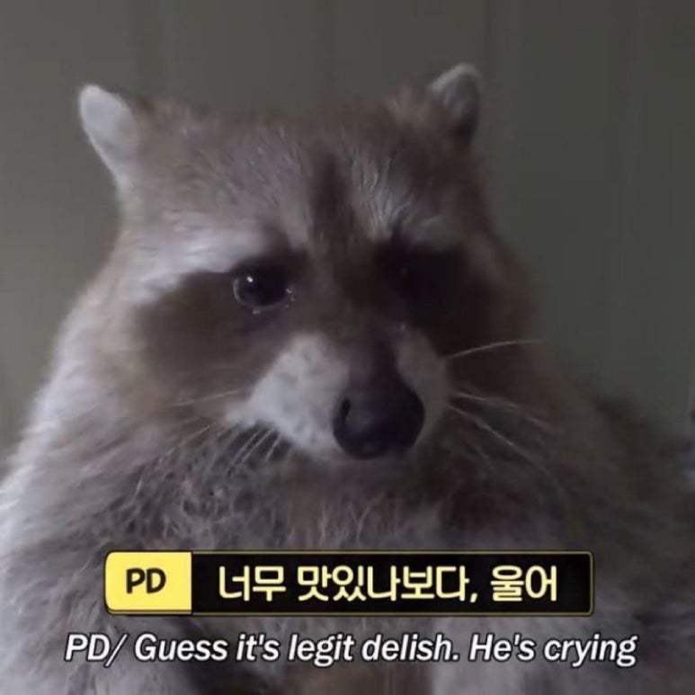 석돈 이미지