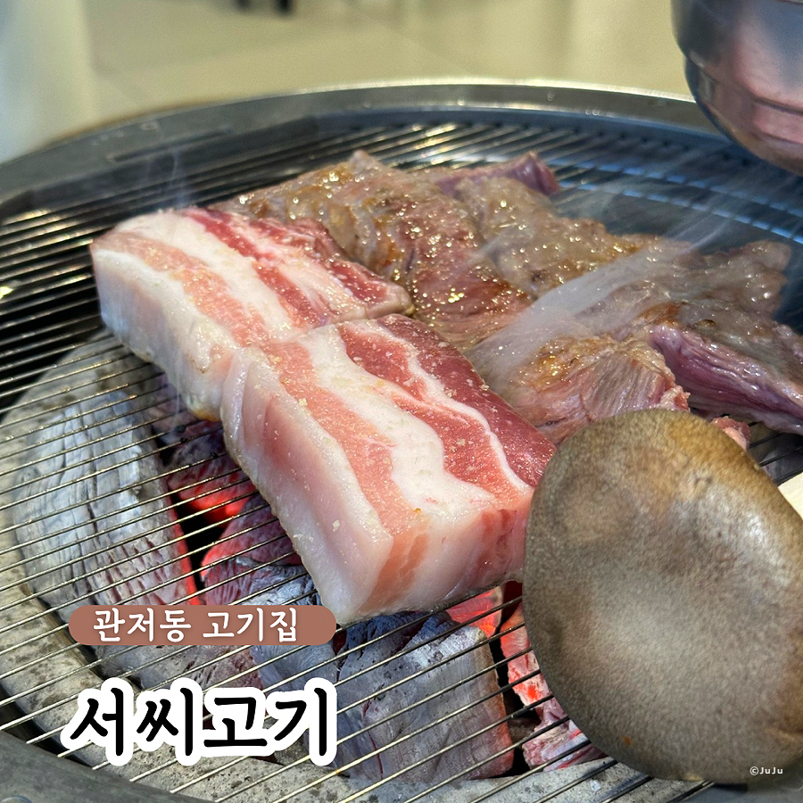 서씨고기 이미지