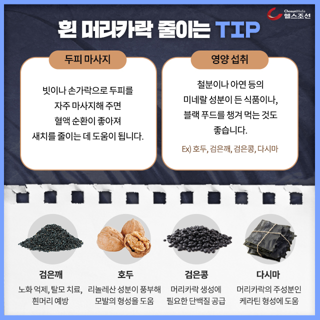 머리가하는이야기 이미지