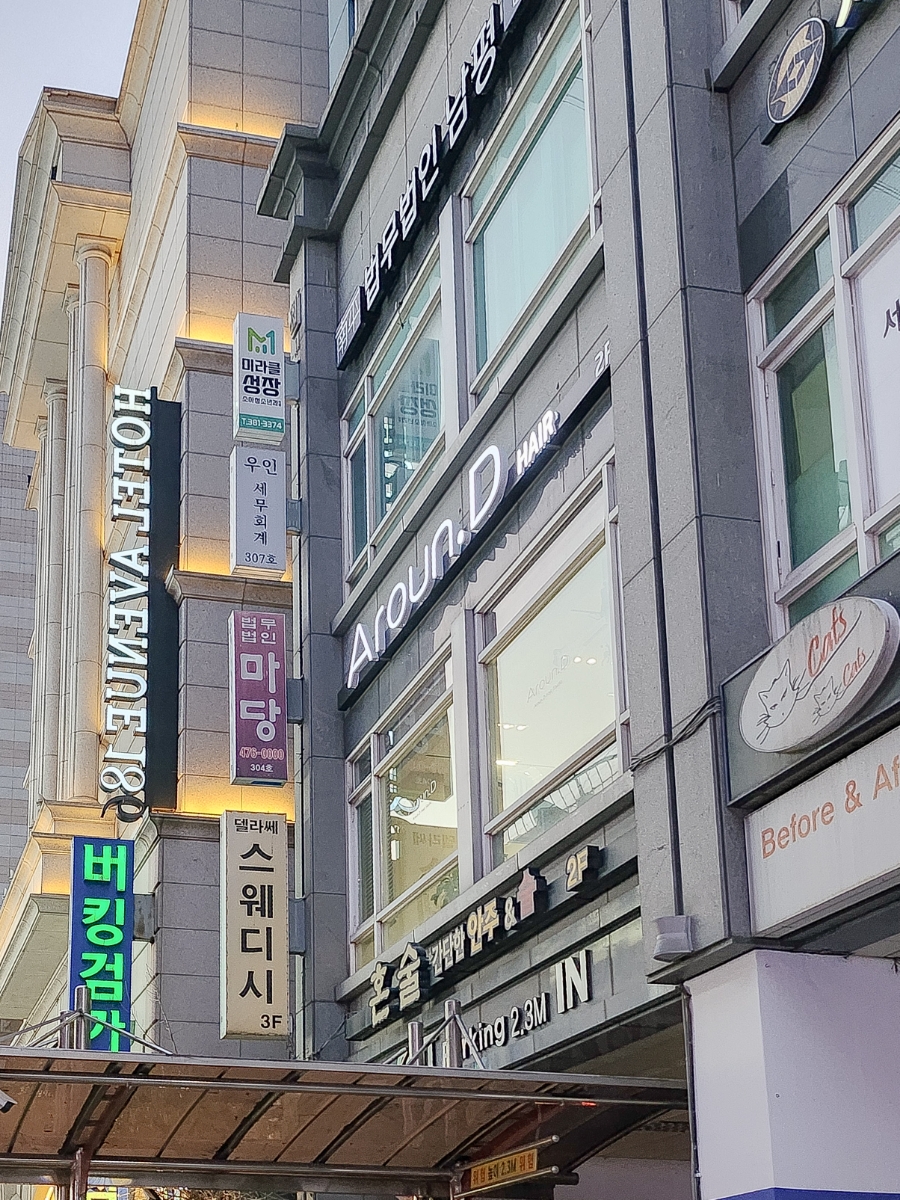 어라운디 이미지