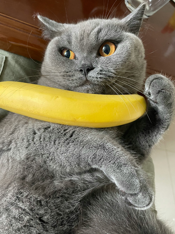 손톱에바나나 이미지