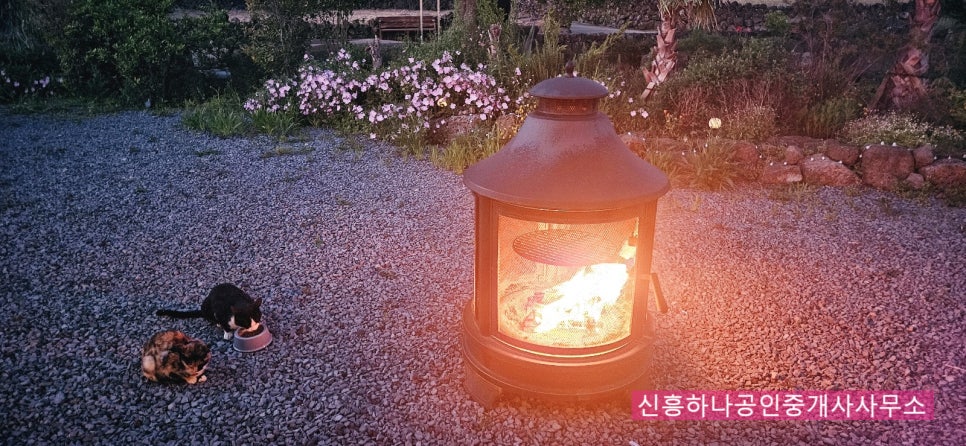 낙천서가 이미지