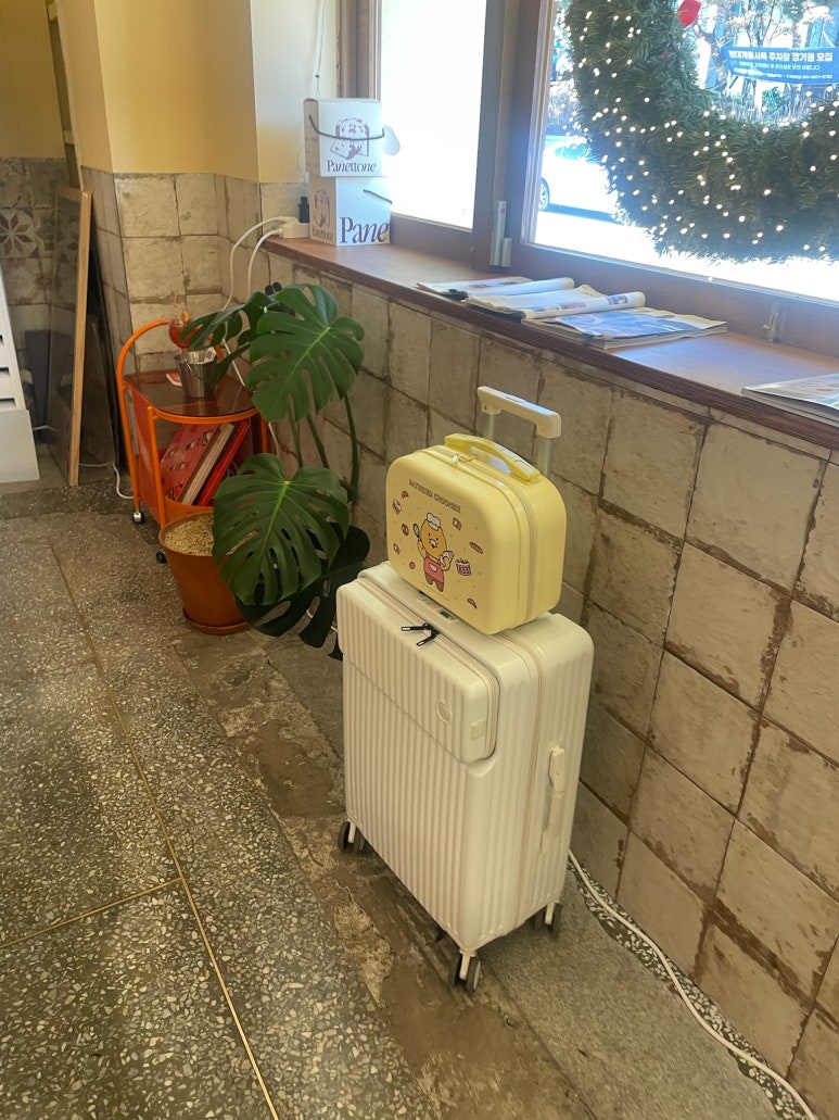 하루카츠 이미지