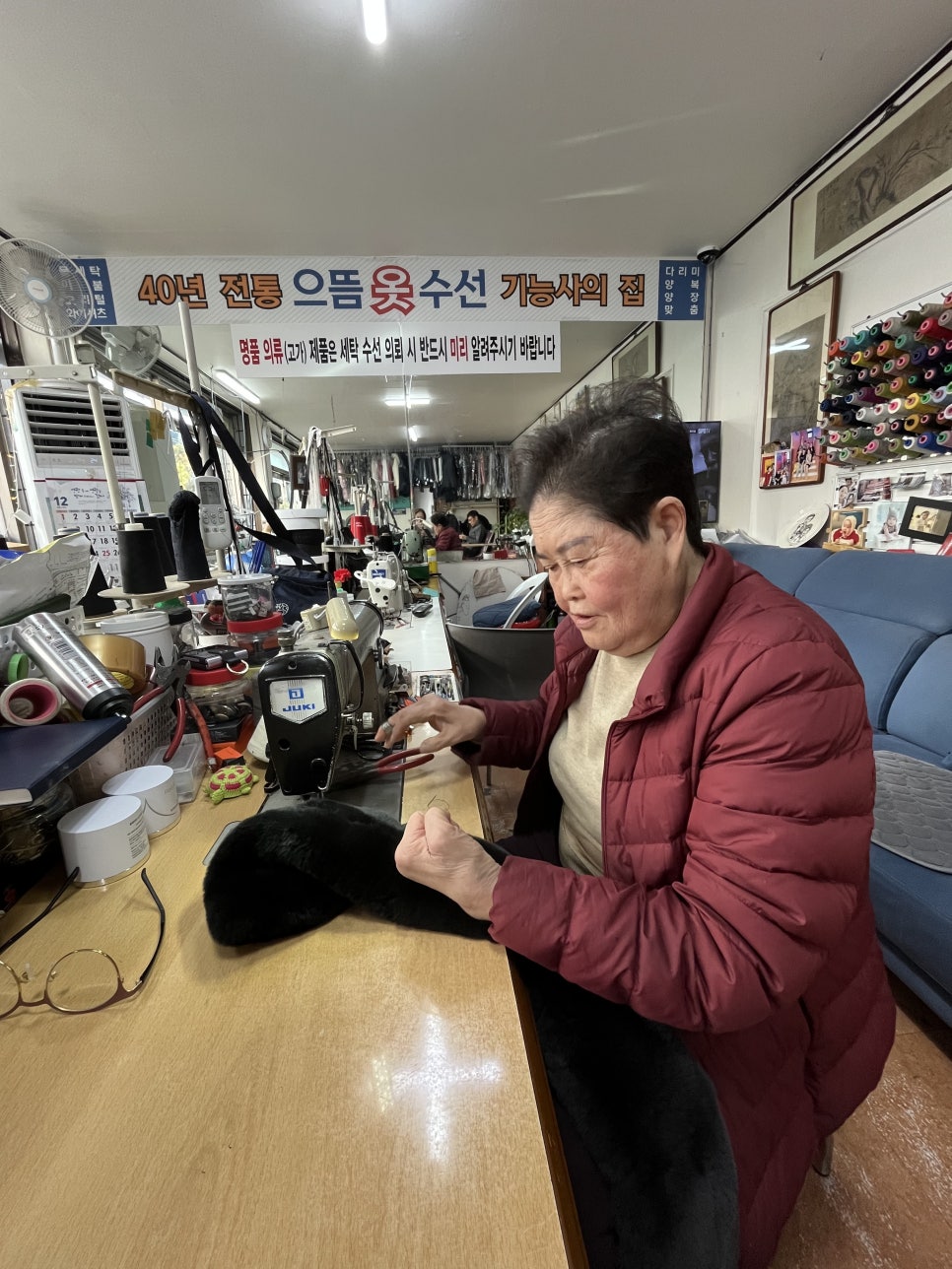으뜸수선 이미지