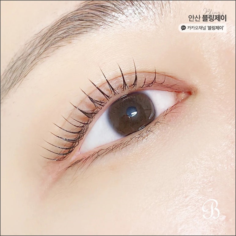 블링하루 이미지