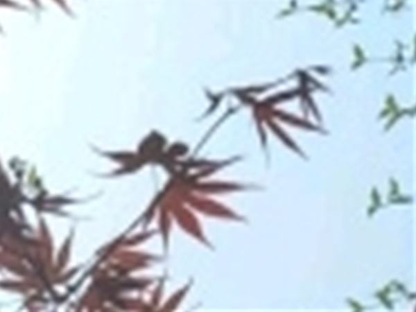 와인치과의원 이미지