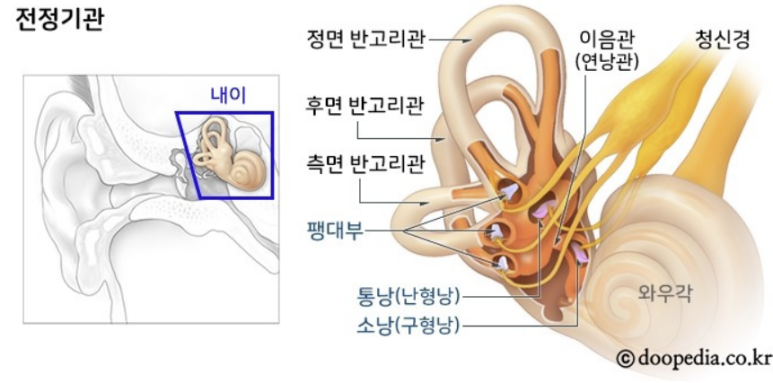 훈토스 이미지