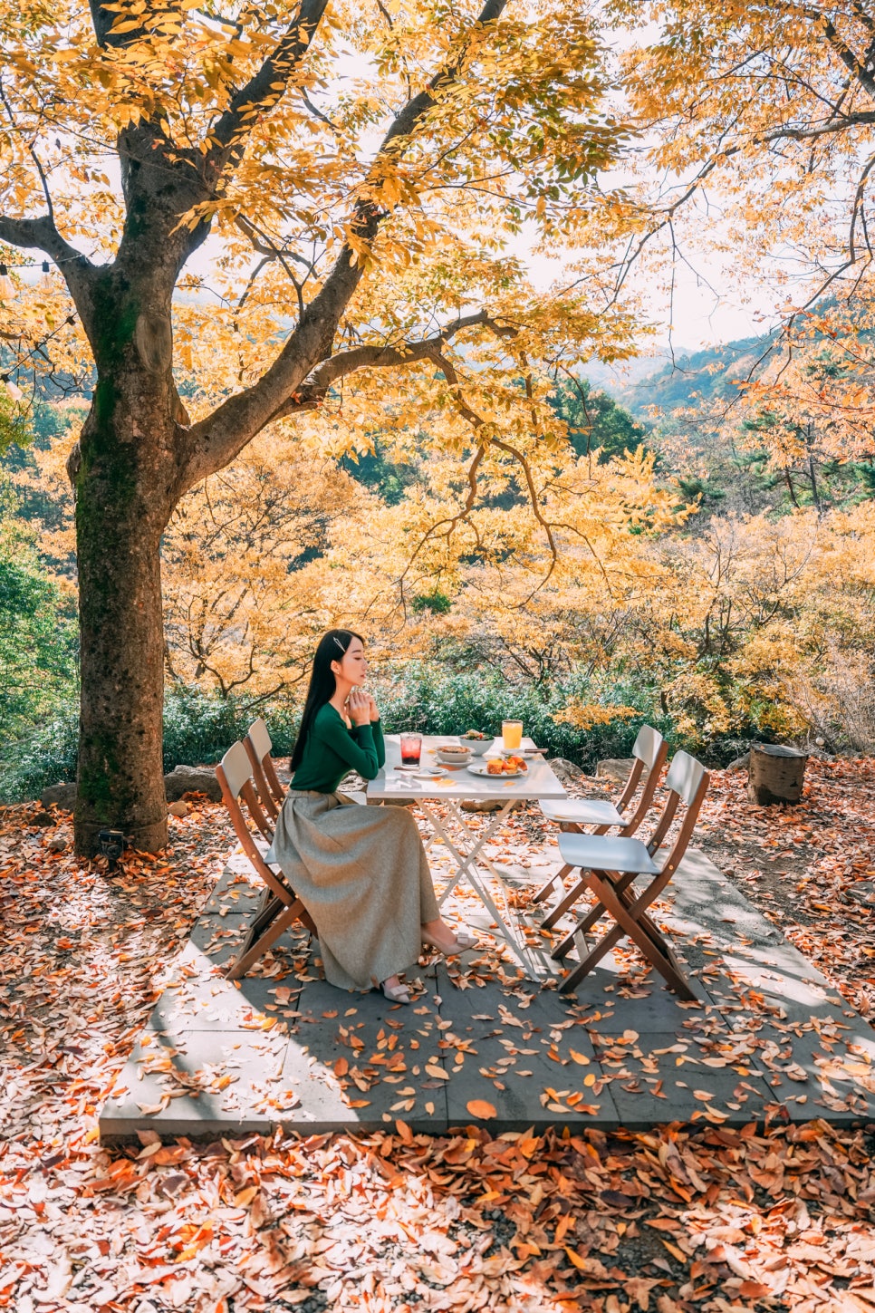 오퐁드부아 이미지