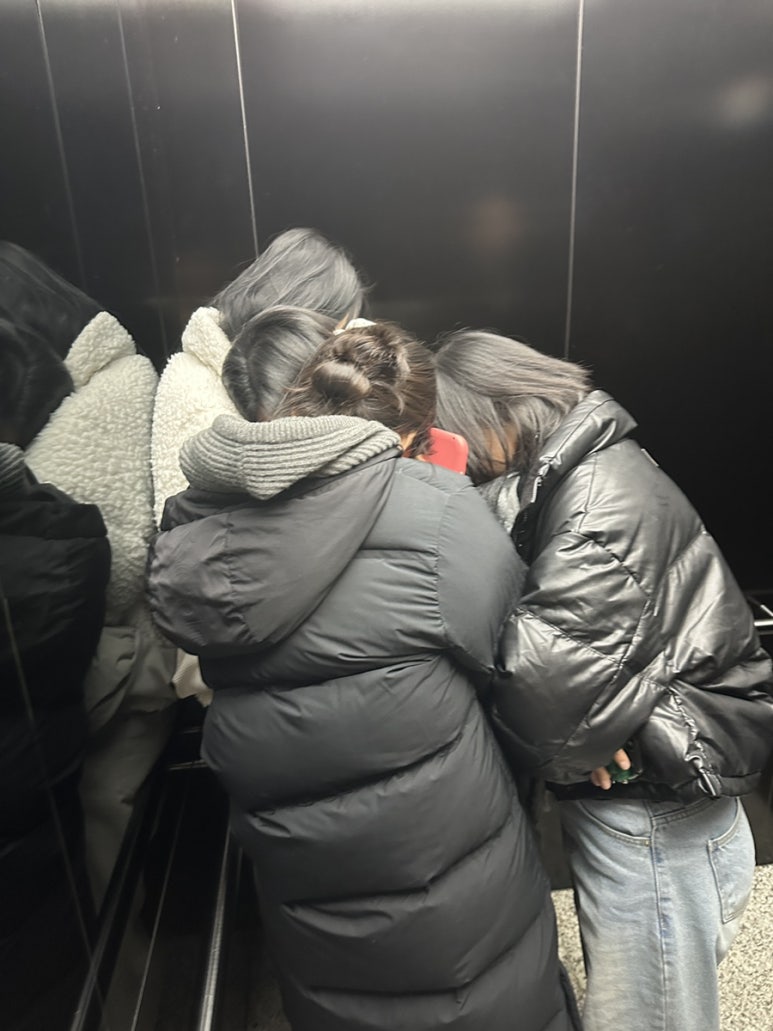 지노셀 이미지