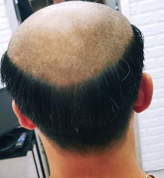 조이모 이미지