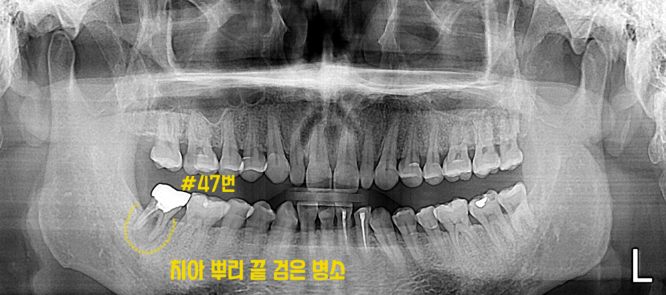 범어도담치과의원 이미지