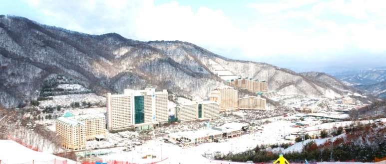 굿라이프여행사 이미지