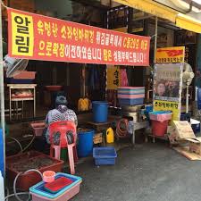 속초수산 이미지