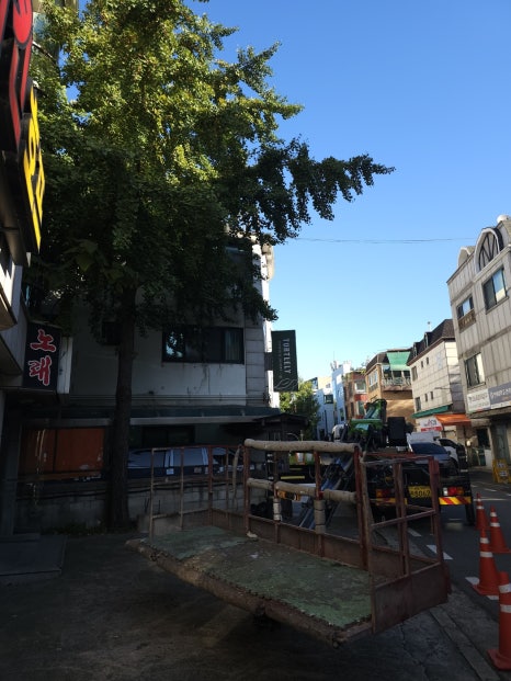 스카이디벨롭 이미지