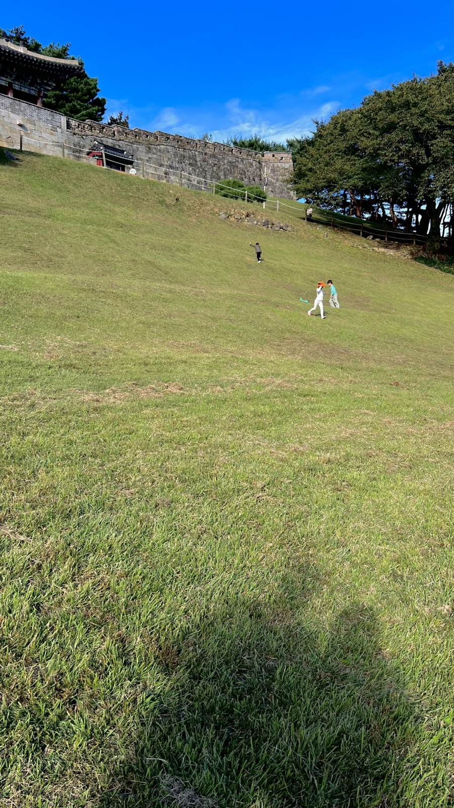 멋찐여우 이미지