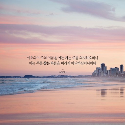 삶 이미지