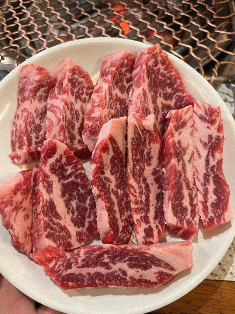 강동갈빗살 이미지