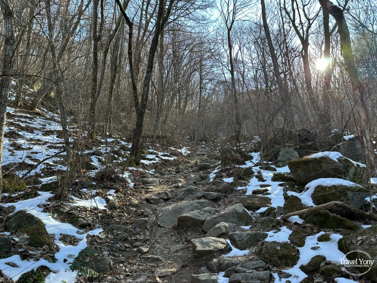 다리안쉼터 이미지