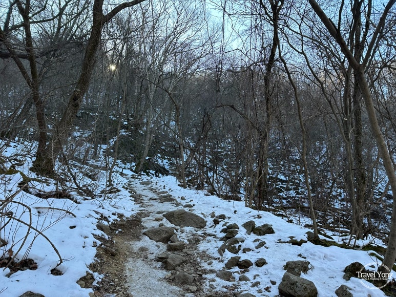 다리안쉼터 이미지