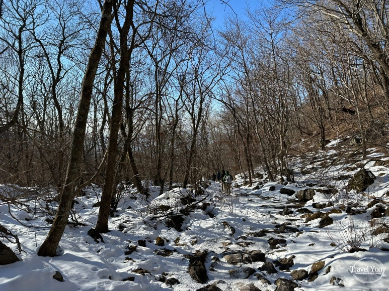 다리안쉼터 이미지