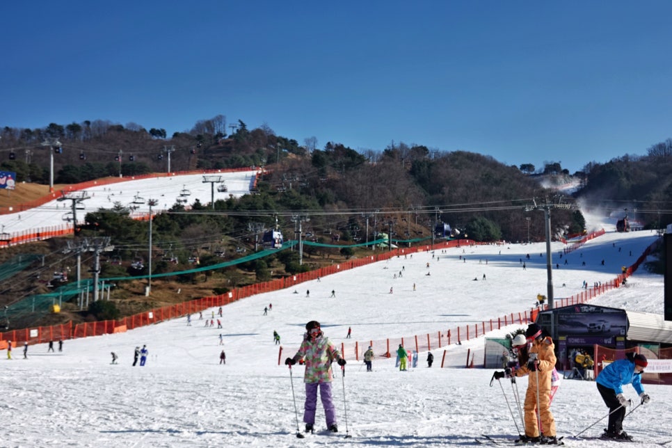 비발디파크렌탈샵에스앤에스 이미지