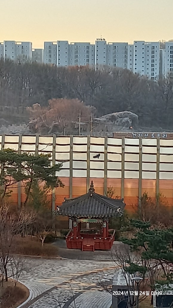 정다운형제들 이미지