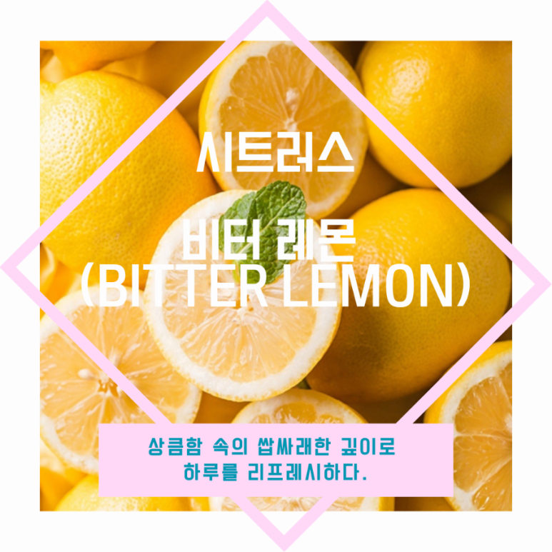 비터센트 이미지