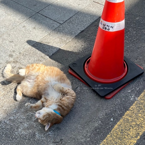 찬스노래연습장 이미지
