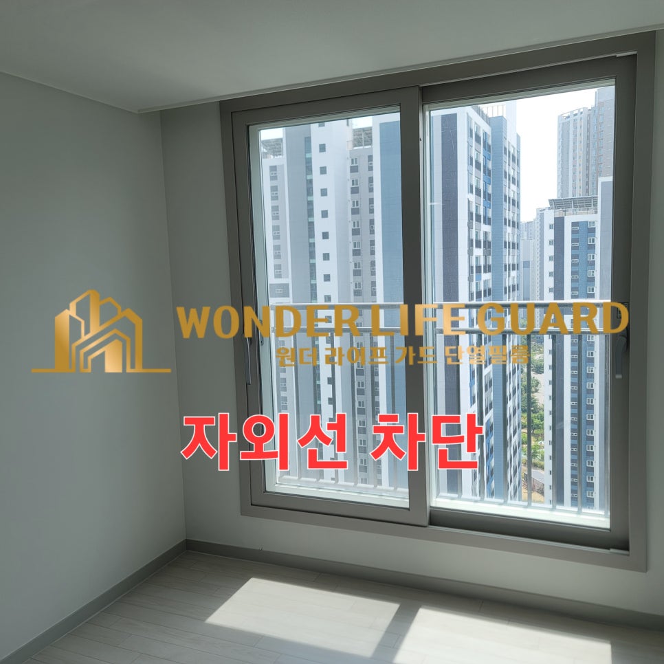 원더 필름 이미지