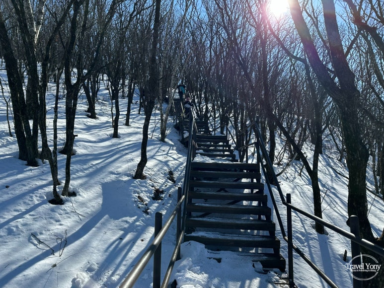 다리안쉼터 이미지